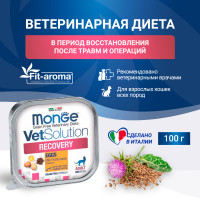 Monge, Recovery, влажный корм д/кошек (восстановление)