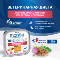 Monge VetSolution Dog Recovery, влажный корм д/собак при восстановлении 